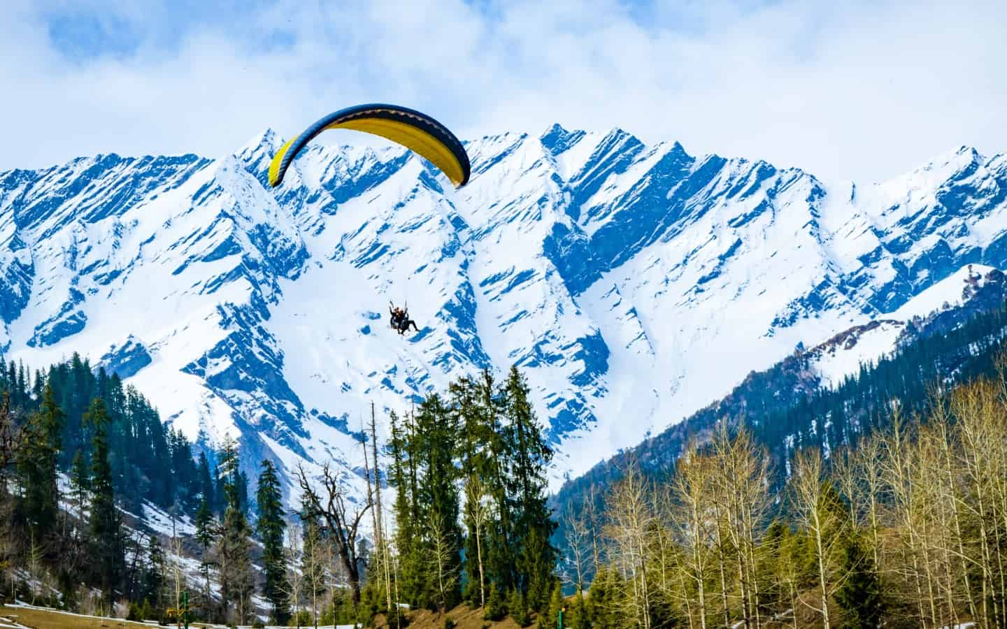 Manali Tour Packages